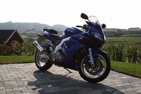 Suzuki SV1000S billede 4