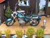 Suzuki gz 250 marauder