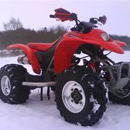 Honda 250EX ATV - SOLGT