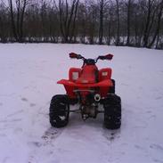 Honda 250EX ATV - SOLGT