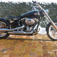 Harley Davidson FXCWC Rocker