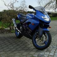 Kawasaki zx9r