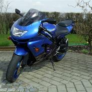 Kawasaki zx9r