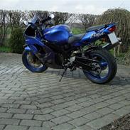 Kawasaki zx9r