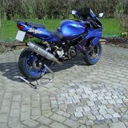 Kawasaki zx9r