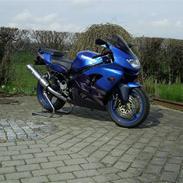 Kawasaki zx9r