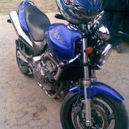 Honda 600 hornet