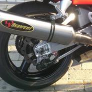 Suzuki hayabusa