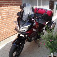 Suzuki dl 650 v-strom