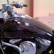 Kawasaki VN1600 Mean Streak