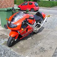 Suzuki TL1000R