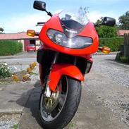 Suzuki TL1000R