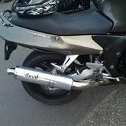 Honda cbr 1100 Blackbird