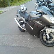Honda cbr 1100 Blackbird