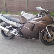 Honda cbr 1100 Blackbird
