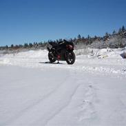 Suzuki GSXR-600