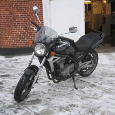 Kawasaki ER-5 (SOLGT)