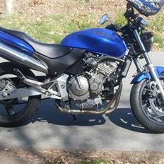 Honda 600 hornet