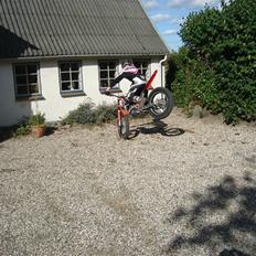 Beta 290 EVO