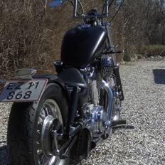 Suzuki intruder vs 750 bobber
