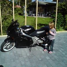 Honda VFR750F RC36 proarm