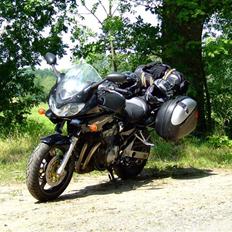 Suzuki GSF 600 S Bandit