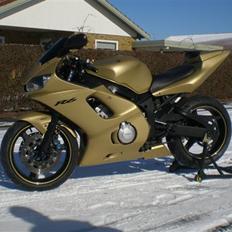 Yamaha R6 "GOLD EDITION" Solgt