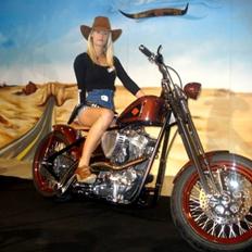 Harley Davidson Sportster