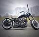 Harley Davidson Panhead FL/shovel pojekt