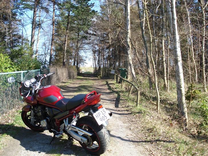 Suzuki GSF1200SA BANDIT (solgt) billede 12