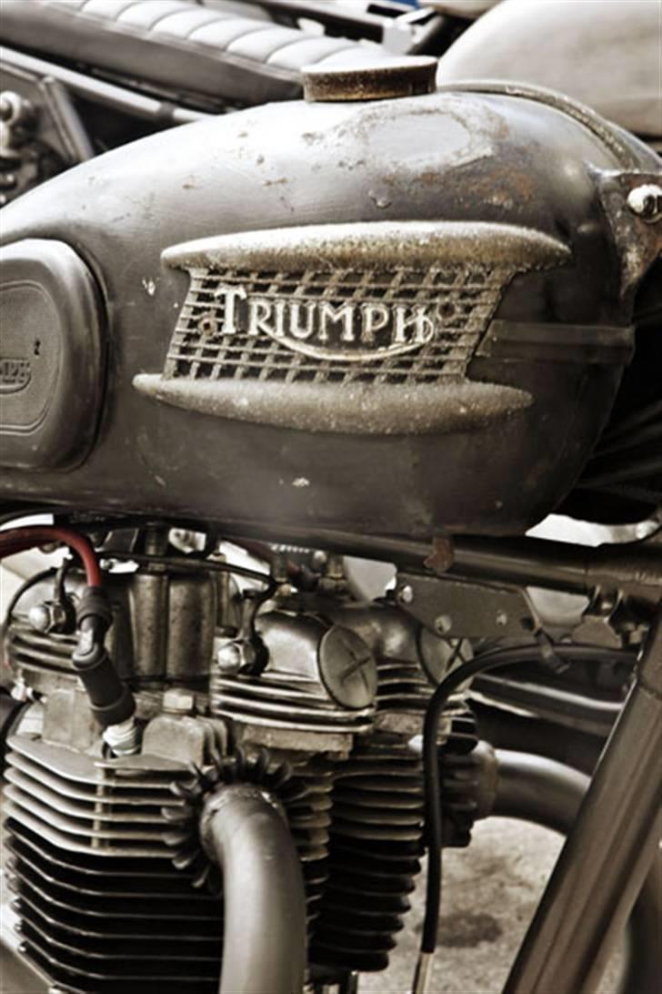 Triumph Hard Tail Chimp (Bobber) SOLGT billede 6