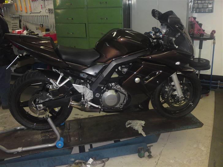 Suzuki SV 1000s - Lige før og næste klar til, at køre sommerne imøde:-) billede 1