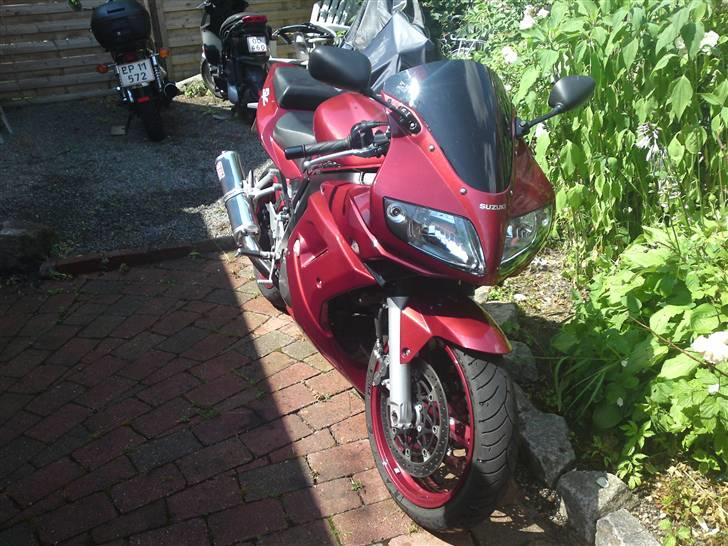 Suzuki SV 1000s billede 2