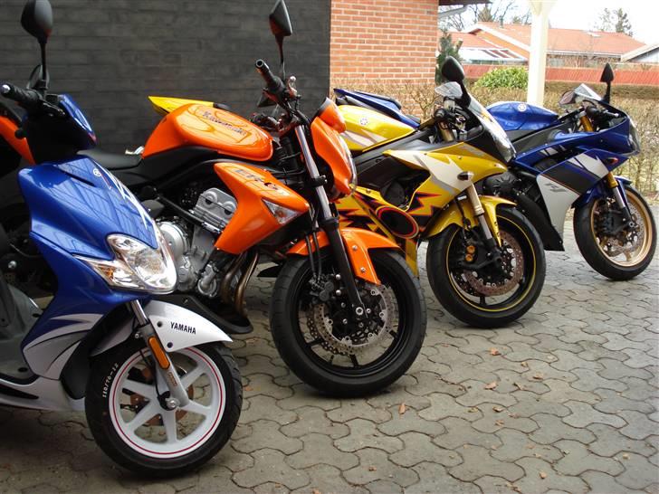 Yamaha YZF R1  EVOLUTION - Familie foto billede 19