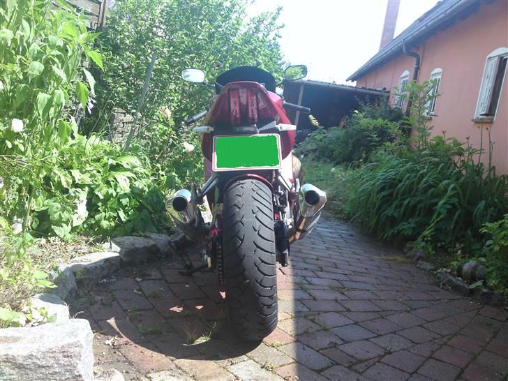 Suzuki SV 1000s billede 3