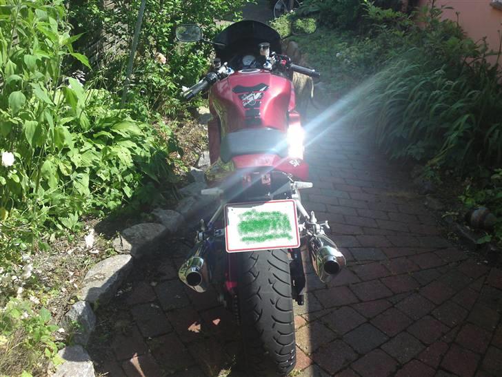 Suzuki SV 1000s billede 4