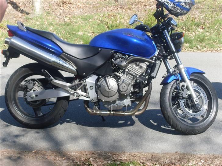 Honda 600 hornet billede 1