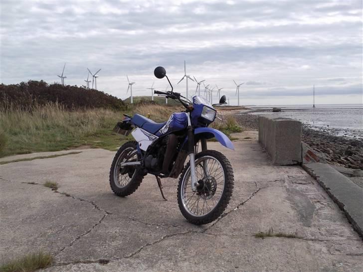 Yamaha DT 175 - Man kan ikke dy sig for at køre omveje - Her er det vadehavet imellem Esjberg og Fanø. billede 9
