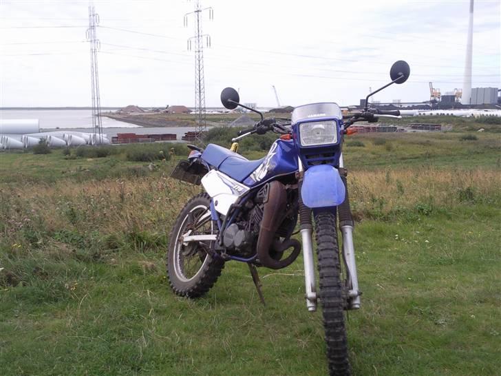 Yamaha DT 175 - Sommer/efterår 2009. Den har næsten lidt attityde fra den vinkel :) billede 11