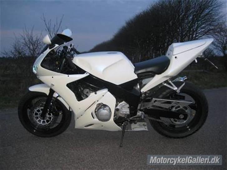 Yamaha Fzr 600 billede 6