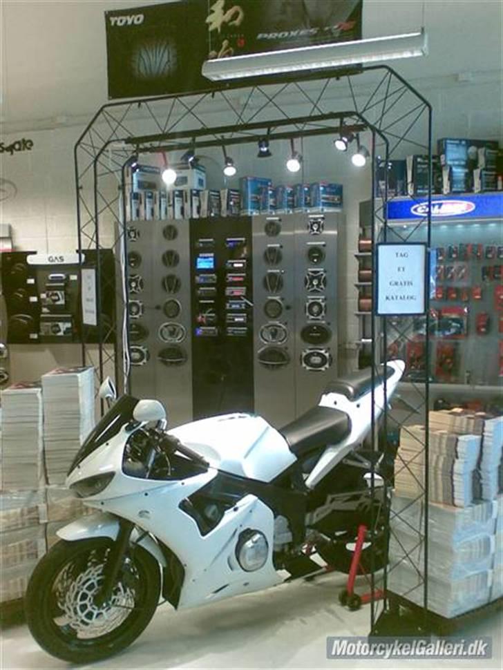 Yamaha Fzr 600 billede 8