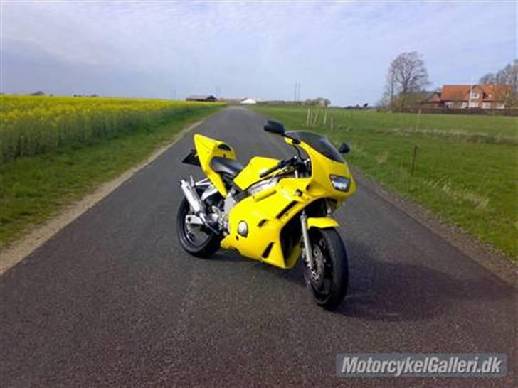 Yamaha Fzr 600 billede 12