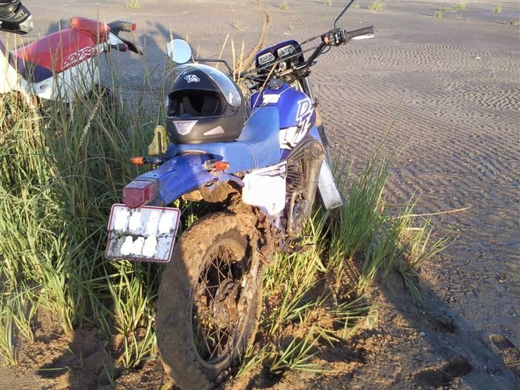Yamaha DT 175 - Lidt mudder på dyret, under en off-road tur. Det kostede nummerpladen, som jeg til sidst måtte brække af og have halvdelen i inderlommen på vejen hjem. billede 12