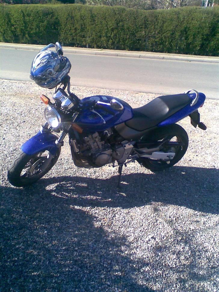 Honda 600 hornet billede 3