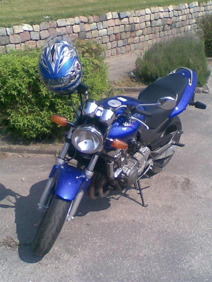 Honda 600 hornet billede 4