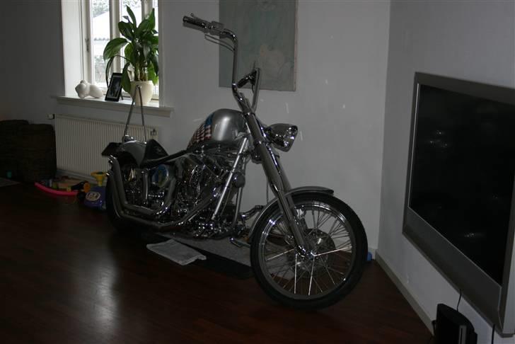 Harley Davidson fxst softtail ultima billede 1