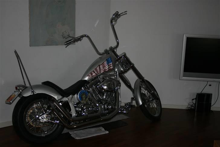 Harley Davidson fxst softtail ultima billede 2