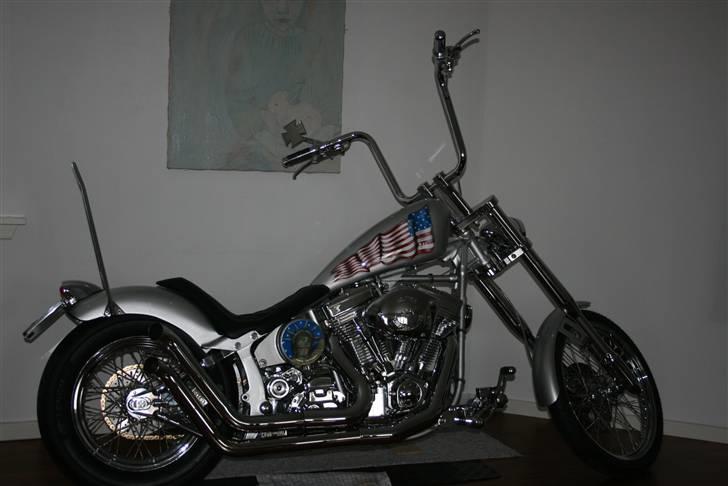 Harley Davidson fxst softtail ultima billede 3