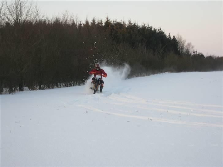 KTM 450sx-f black edition billede 16