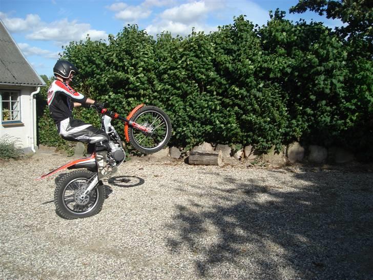 Beta 290 EVO billede 2